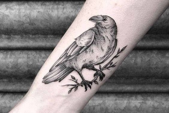 cuervos tatuajes