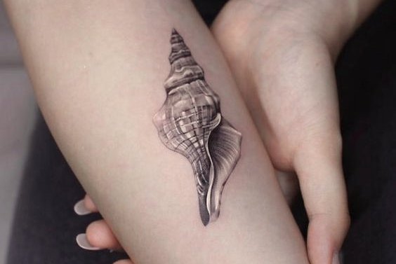 tatuajes concha