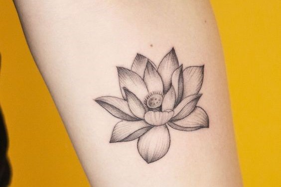 flor de loto tatuaje