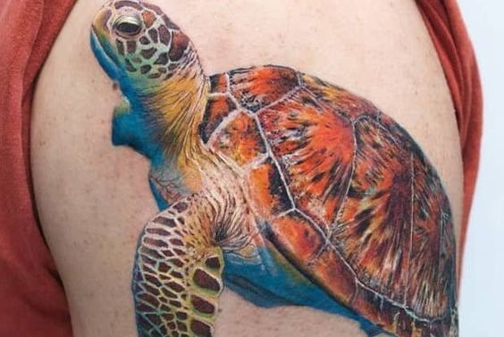 tatuajes tortuga