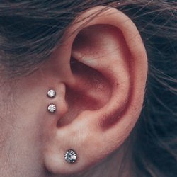 Tragus